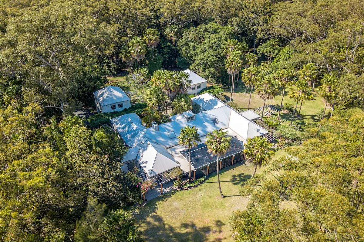 Turtles Crossing gallery image 2