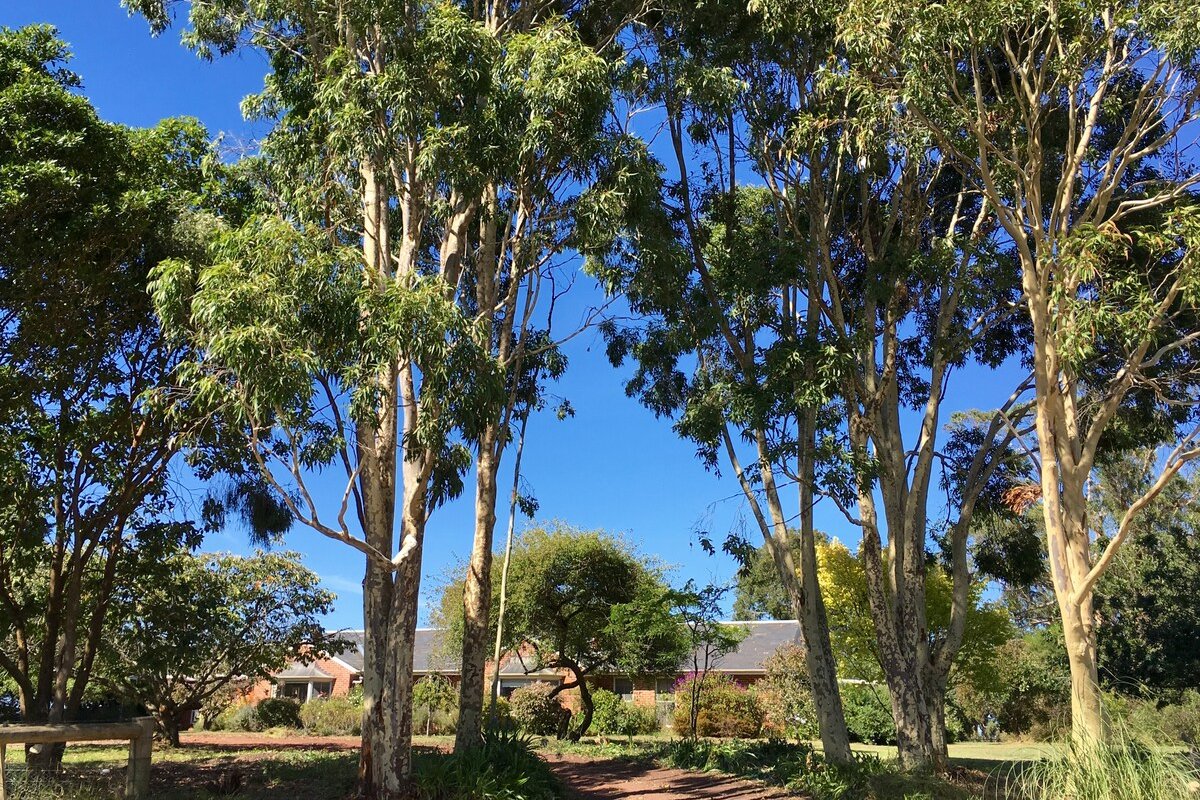 Panoramic Otway Views Farm gallery image 3