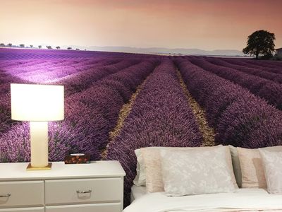 Lovely Downtown House