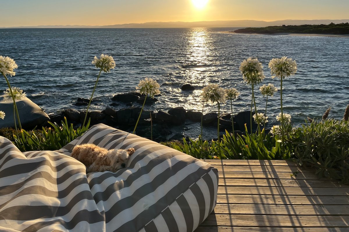 Seaside Sanctuary gallery image 3