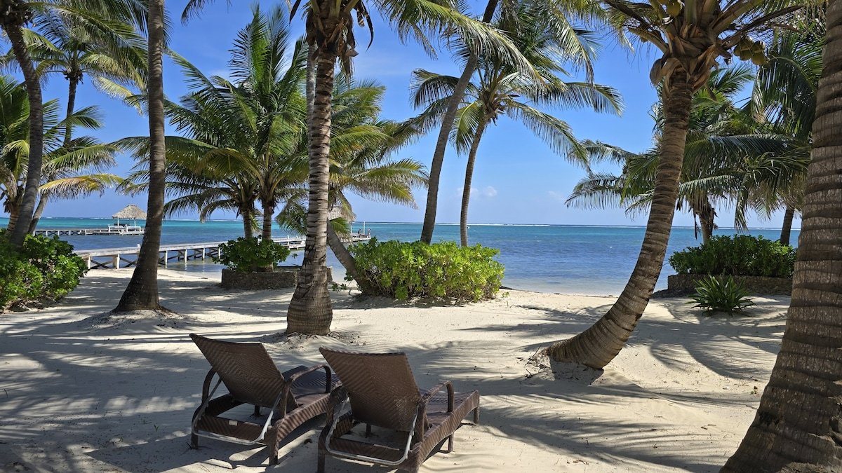 V1 – Villa Esplanade | On The Beach Luxury Stay gallery image 2