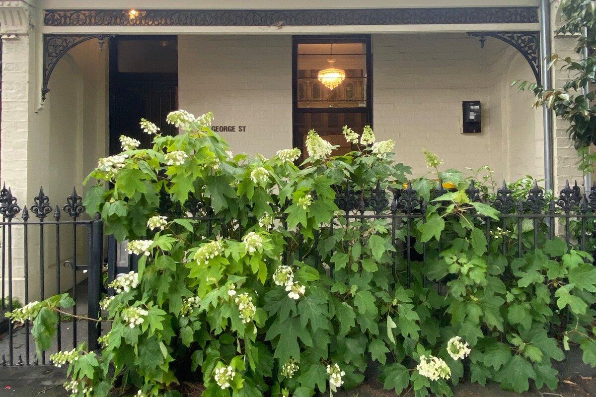 Beautifully transformed terrace gallery image 5