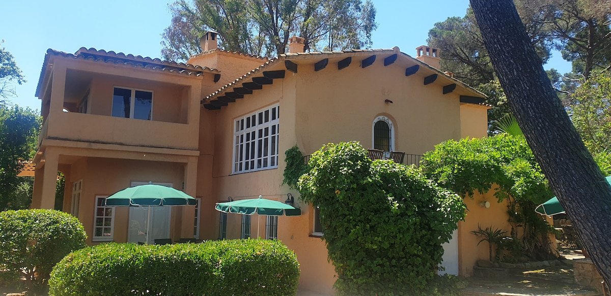 Unique house and garden at 45 m. of the beach. BE. gallery image 4