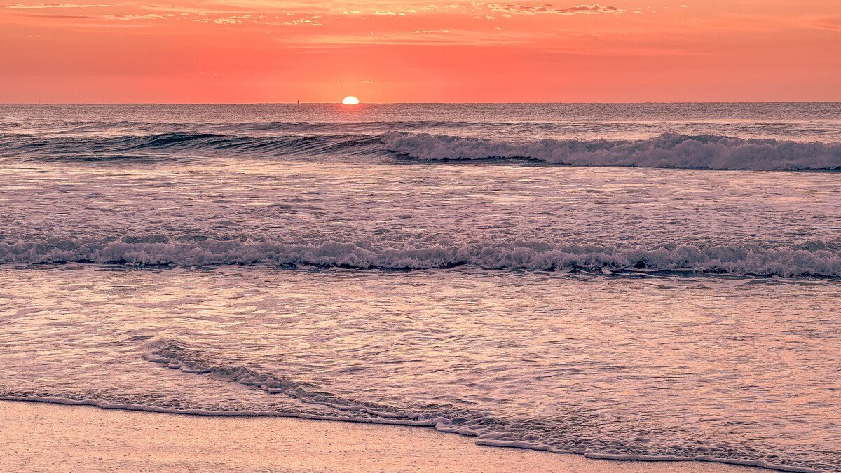 Essence Peregian Beach Resort Wallum 4 Bedroom gallery image 5