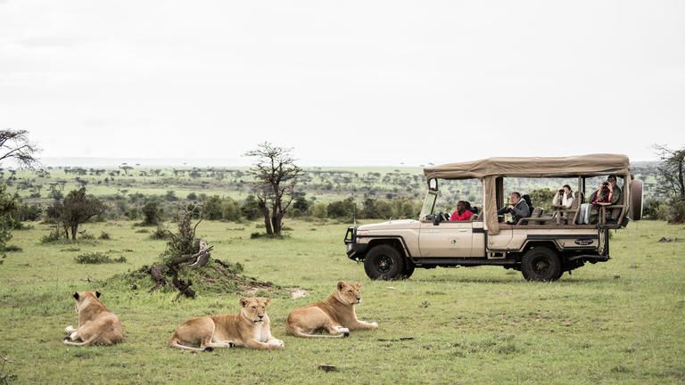 Porini Lion Camp - Game drives