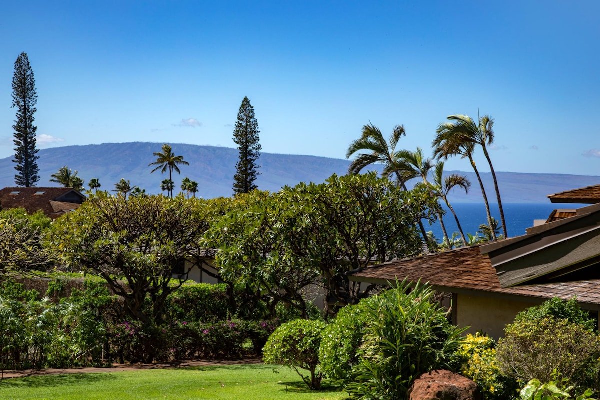 Kaanapali Plantation 41 | FREE CAR | KBM Resorts gallery image 4