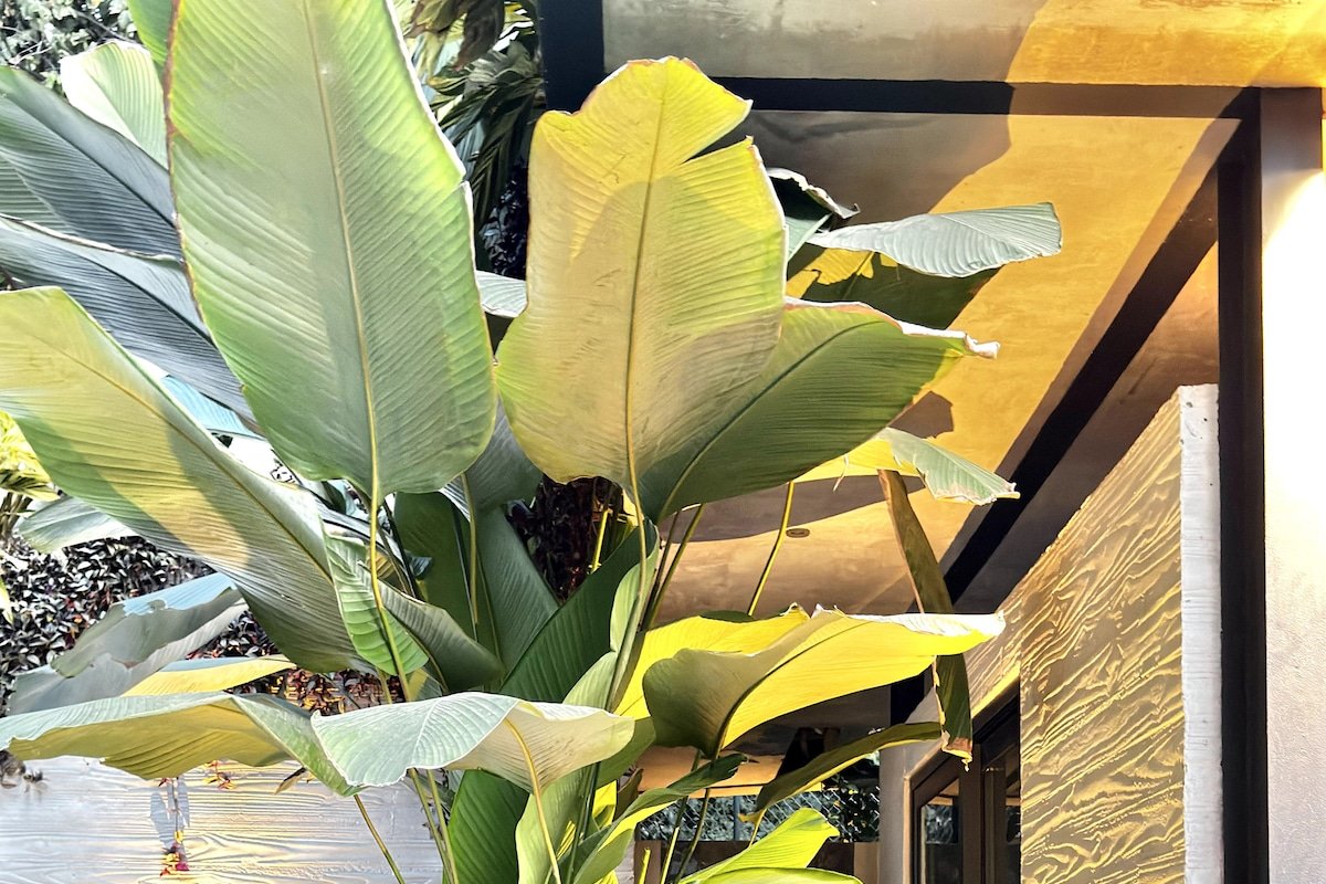 KUNUK-Luxury 2 Bedroom Suites- Hanging garden gallery image 5