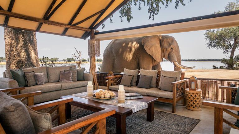 Old Mondoro - Main Lounge - Old Mondoro - elephants are omni-present