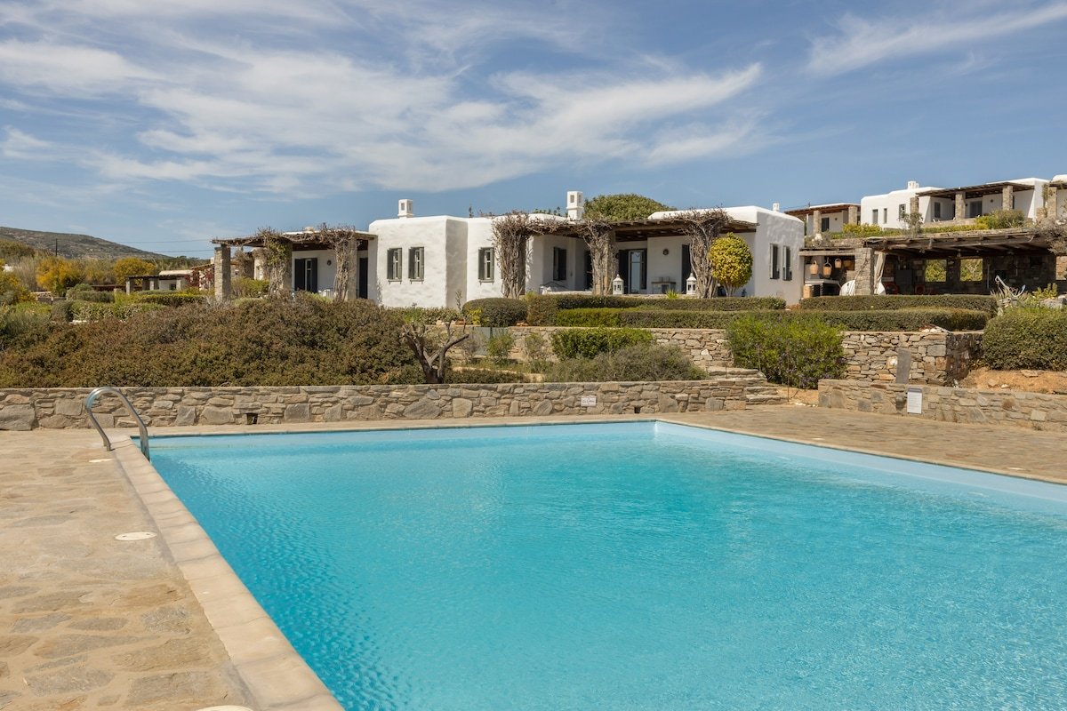 Blue Coral 2 gallery image 4