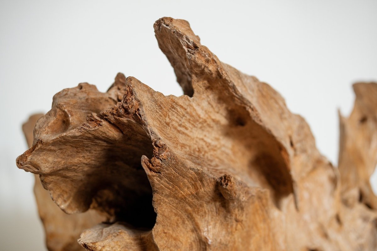 1 bedroom Apartment Garden View and Balcony gallery image 3