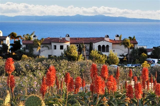 Terranea Oceanside Owner’s 3BR-Full Resort Access! gallery image 5