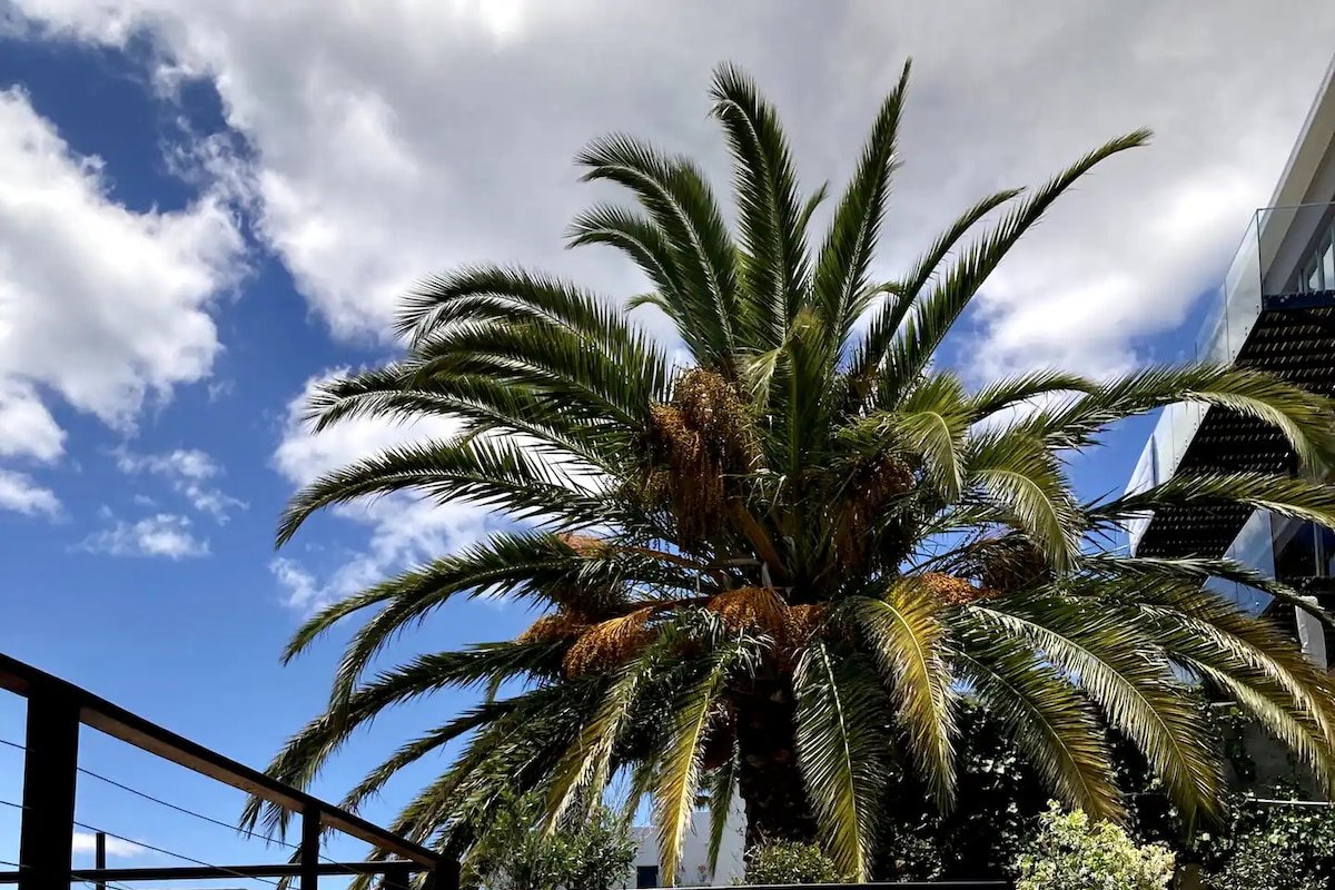 7-Bed, 7-Bath Villa with Ocean Views and pool gallery image 2