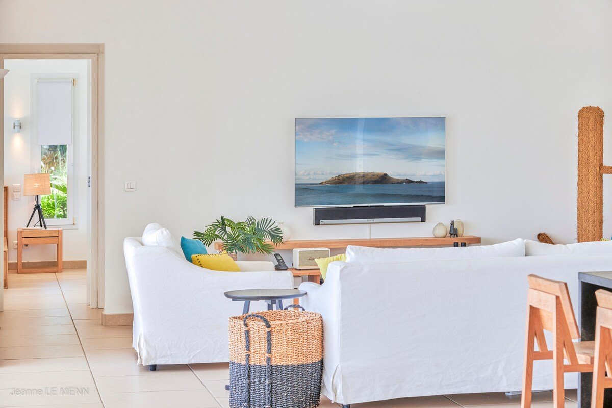 Cactus gallery image 3