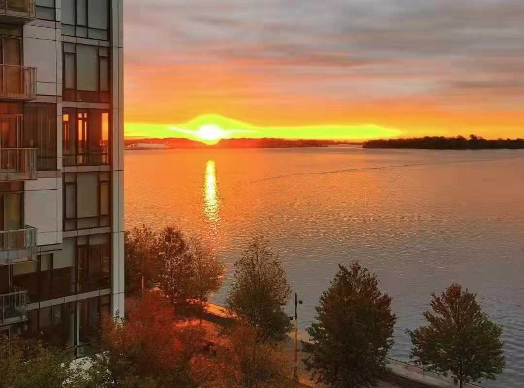 Luxury Executive Suite on the water with pools