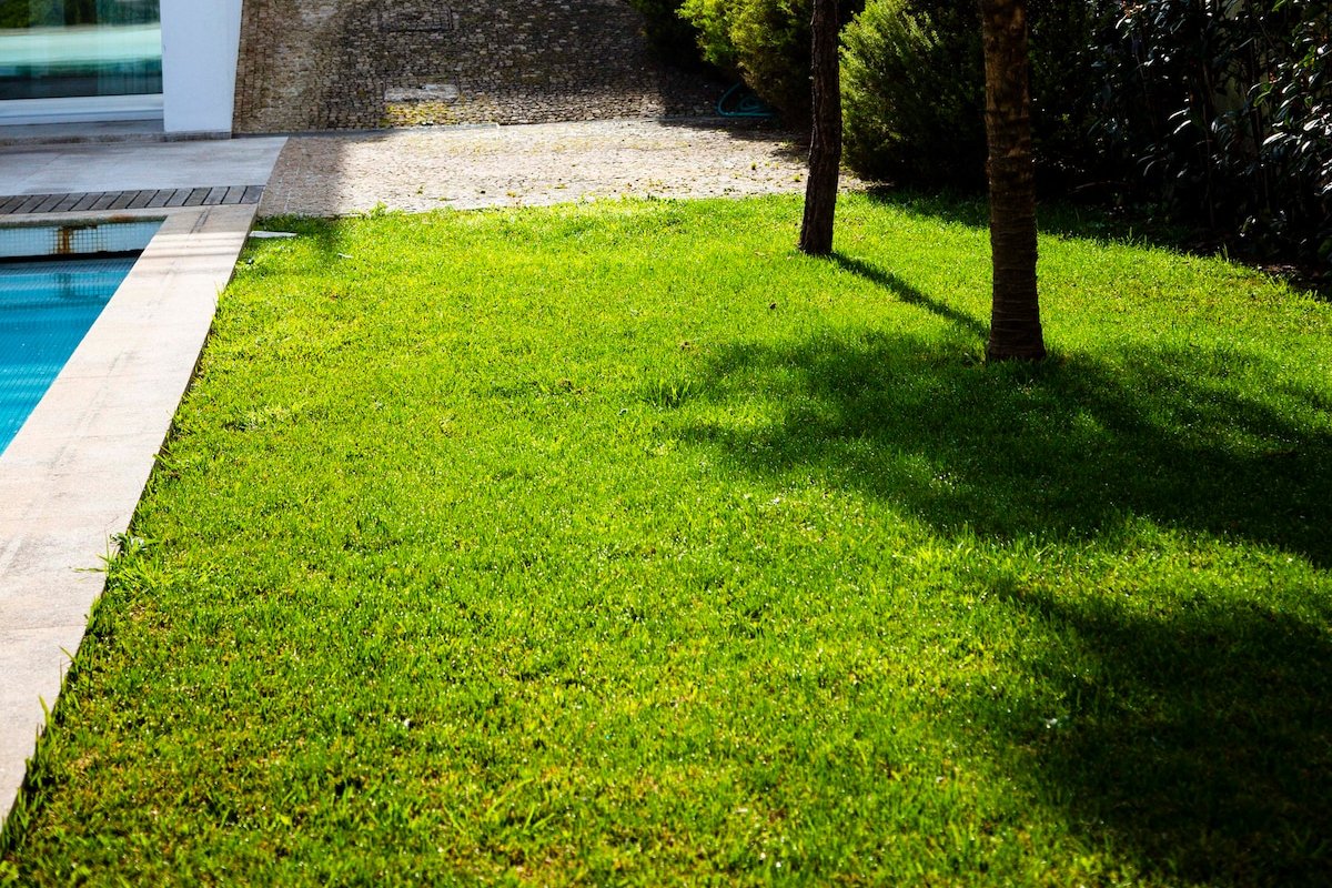 Casa da Barra gallery image 4