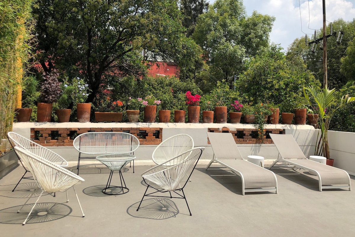 Oasis in Roma Norte | Private Rooftop | 6BR house gallery image 2