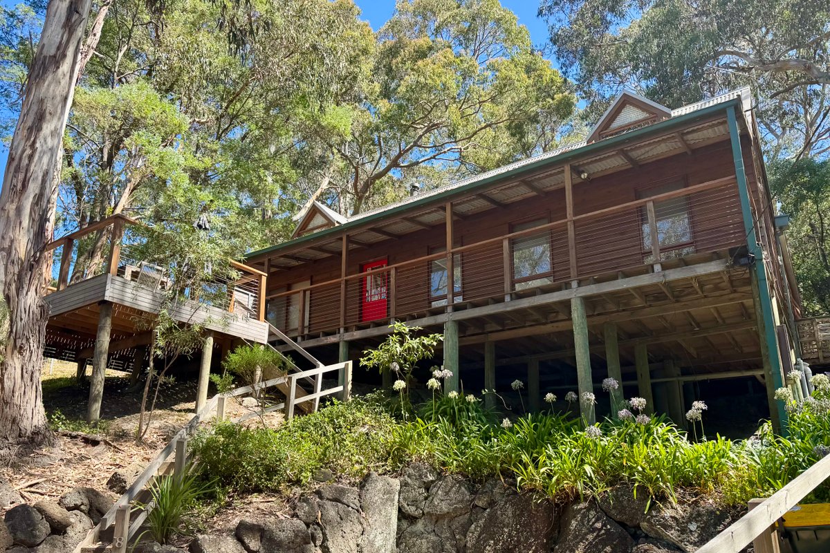 Beach views through the gum trees