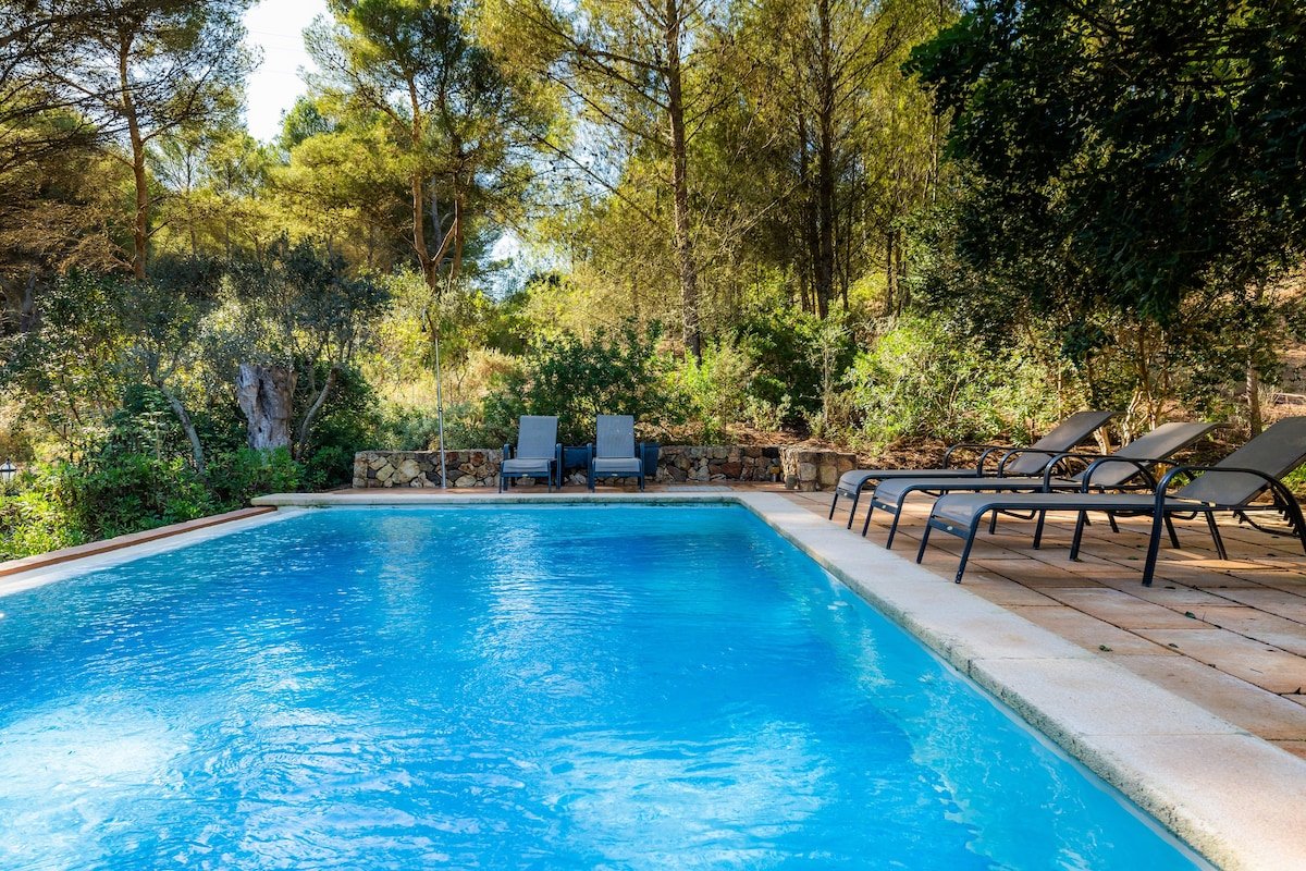 Finca Perello gallery image 4