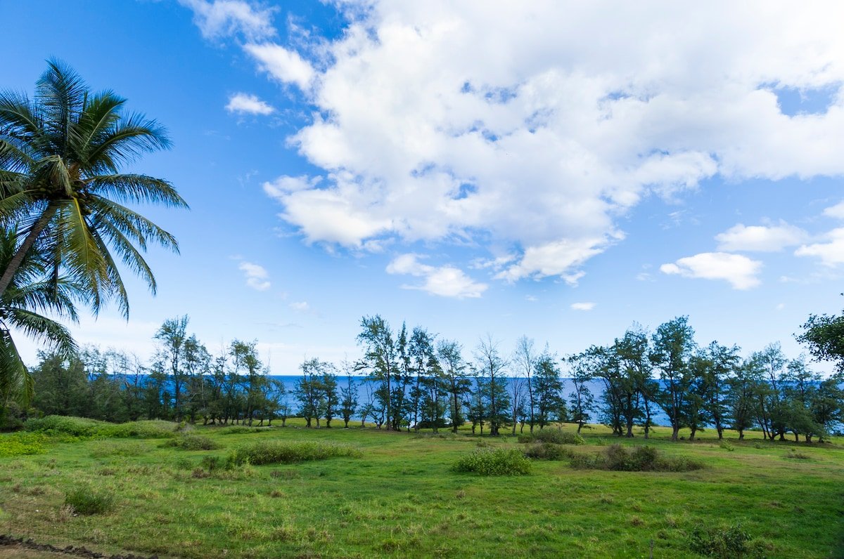 Hana Ocean Front Paradise gallery image 4