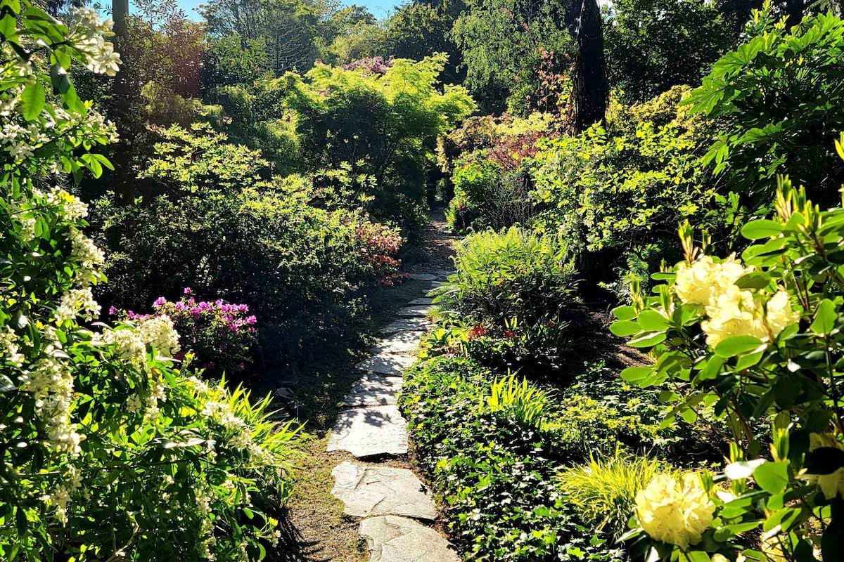 Private Oceanfront Beach House with Hot tub! gallery image 4