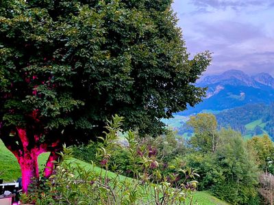 Heidi Chalet Alps – Unique Experience – Authentic