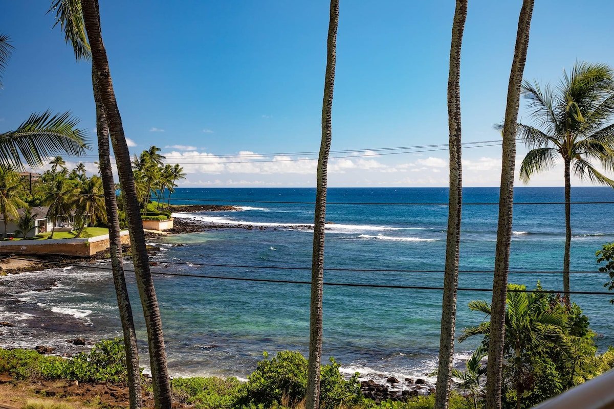 Prince Kuhio 401-Air Conditioned Poipu Penthouse . gallery image 3