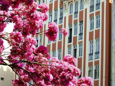 Apartamento vintage na Glória