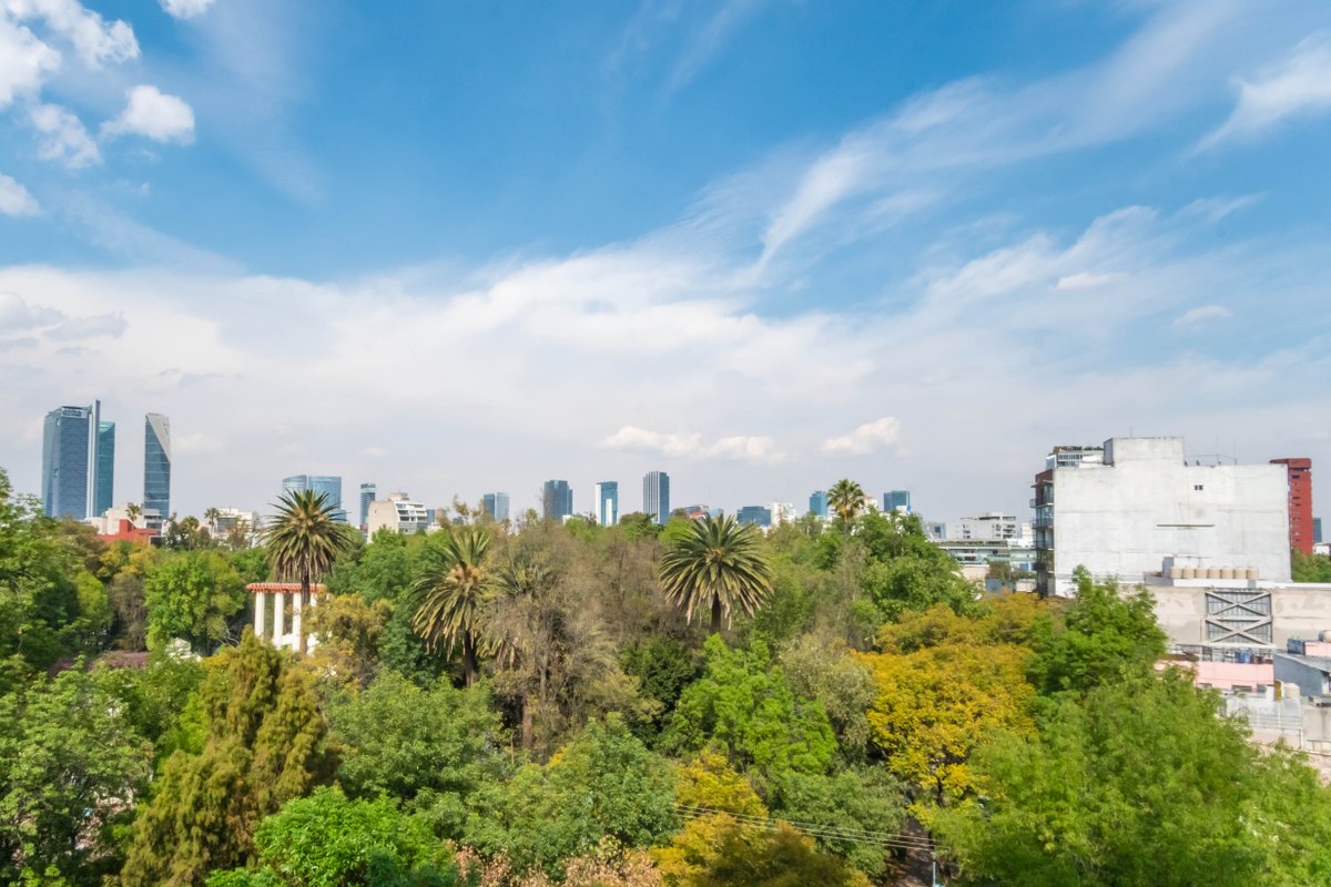 Big, Modern, Bright Condesa Apt. in Front of Park