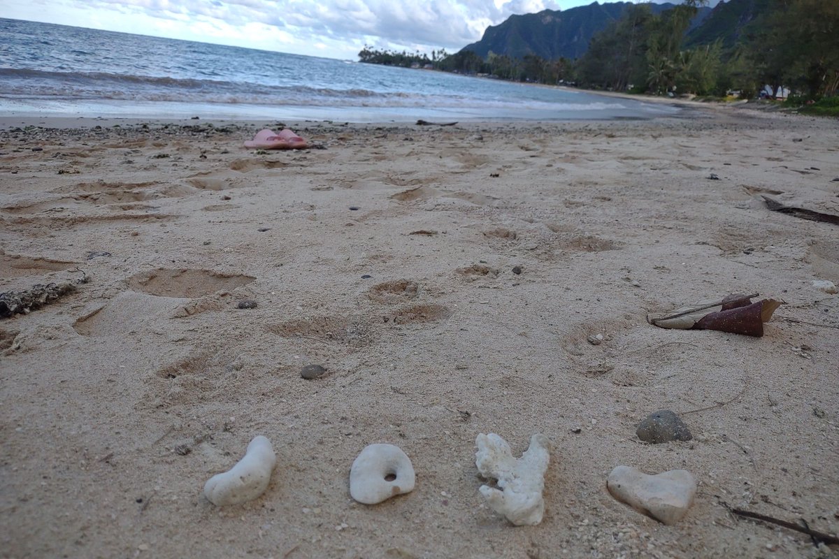 Two Homes across the beach.