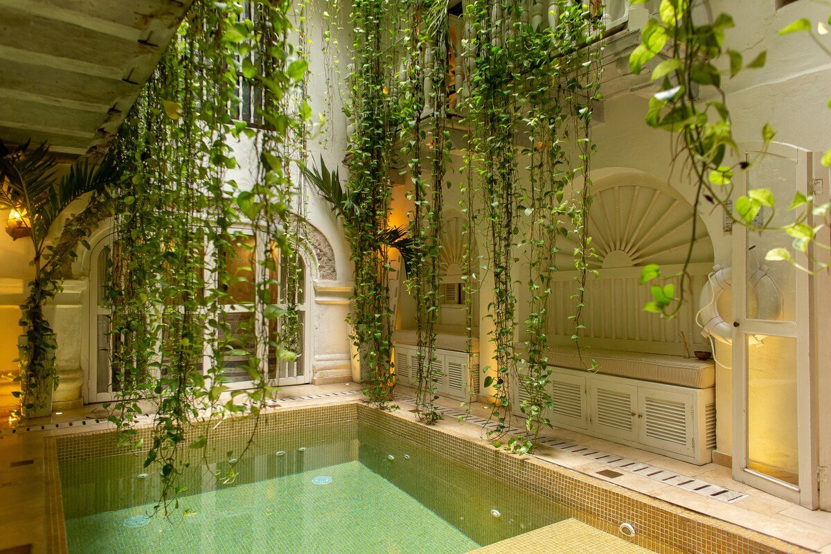 Leones de Alba gallery image 4