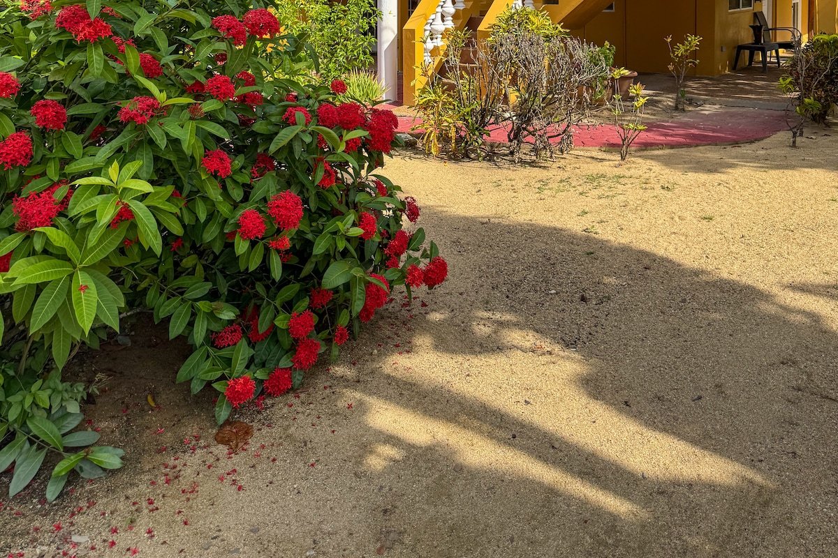 Caribbean Shores Bed and Breakfast gallery image 4