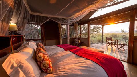 Busanga Bush Camp - Guest tent with a sublime view