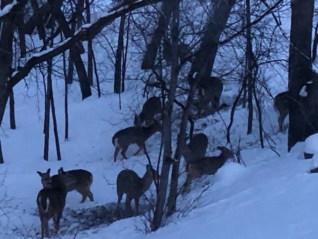 Escape the chaos, (only 4bd, 3 bth on river) gallery image 2