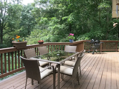 Asheville Best Mtn Retreat-5 mi. town! Spa. Dog ok