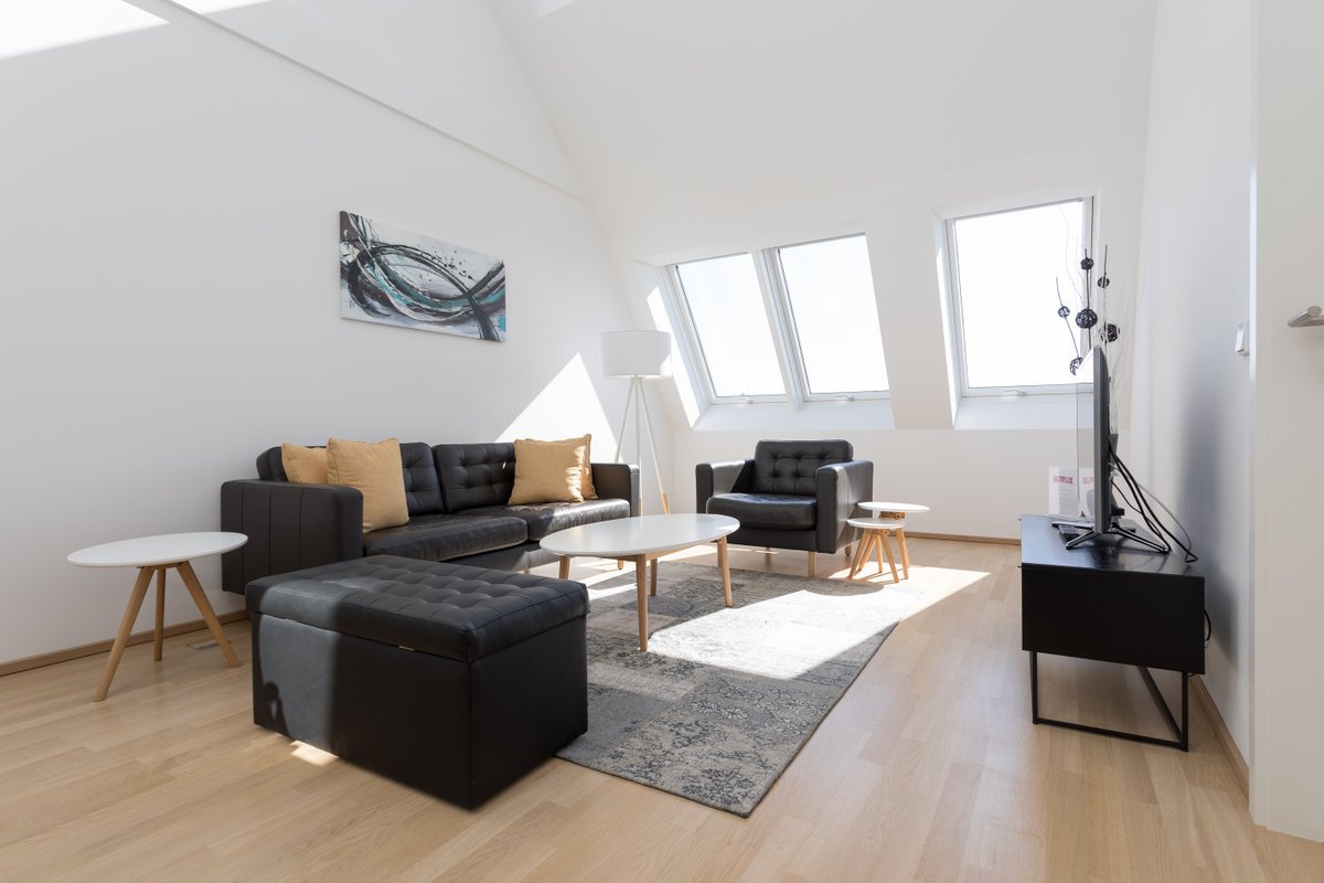 Penthouse Suite close to Opera & Karlskirsche#1/10