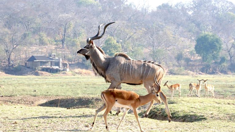 Puku Ridge - Kudu's view - Puku Ridge - Kudu's view