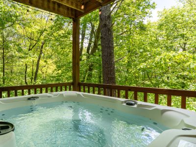 Luxe Treetop Cabin*Hot Tub*Views