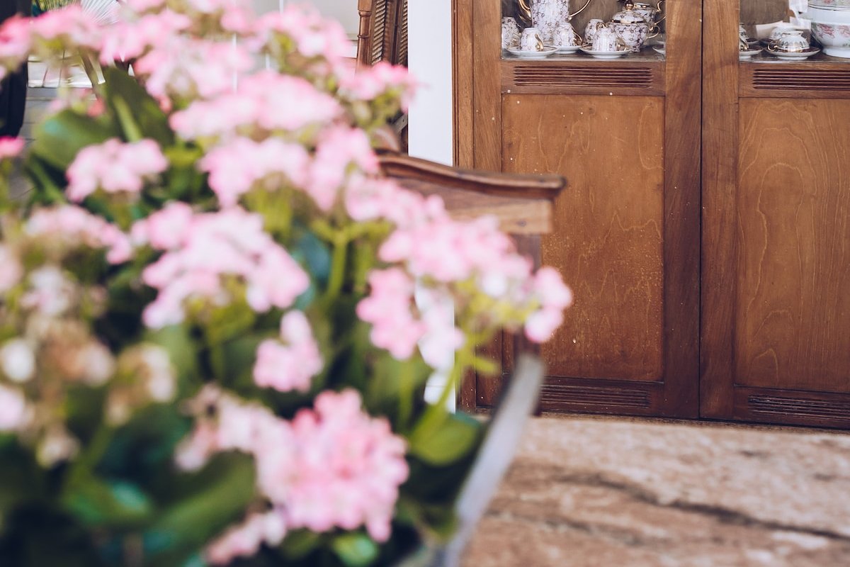 Um Paraíso no Rio. gallery image 5