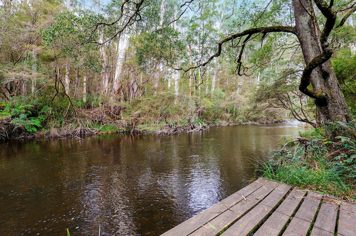 River Lodge, close to Warburton gallery image 4