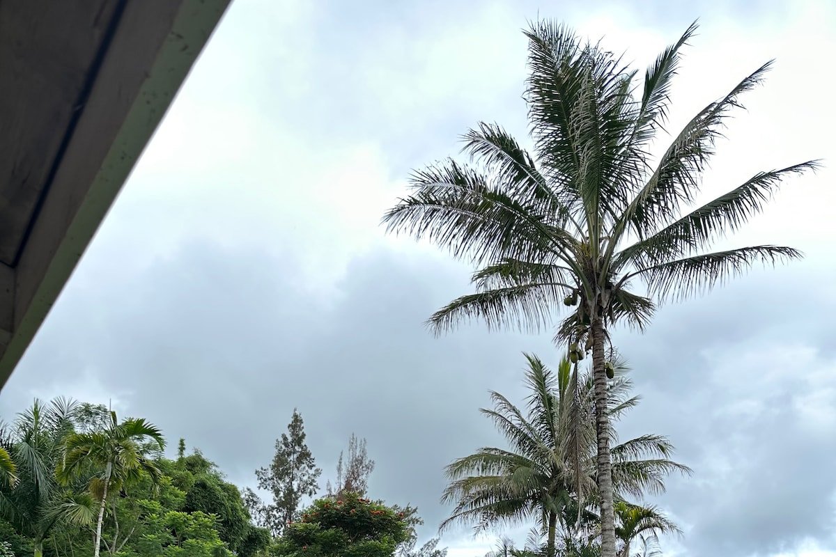 Holualoa Hideaway 15+ guests with guest cottage gallery image 5