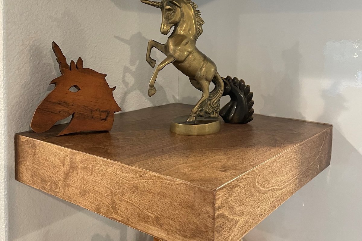 Unicorn House: Cool updated MCM in Fort Worth gallery image 3