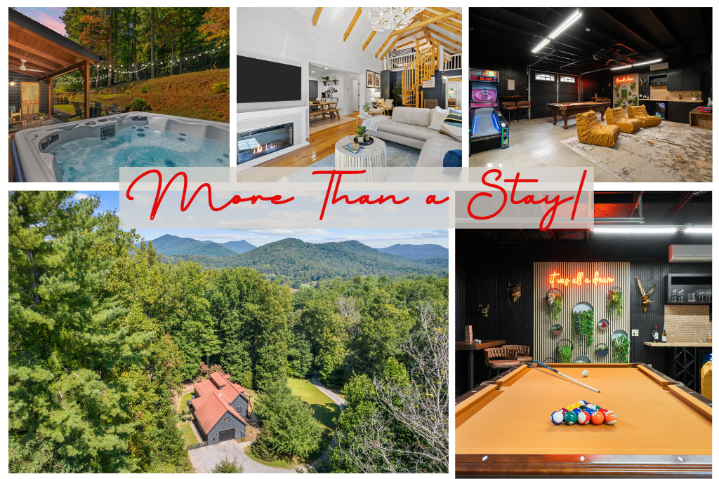 More Than a Stay: A Journey Into Nature & fun