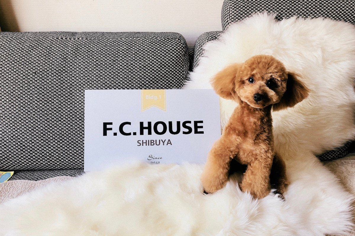 100m2 house/3BR/quiet str./near shinjyuku sta. gallery image 3