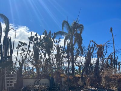 Stroll to Lahaina Town from Gated Home with Private Pool