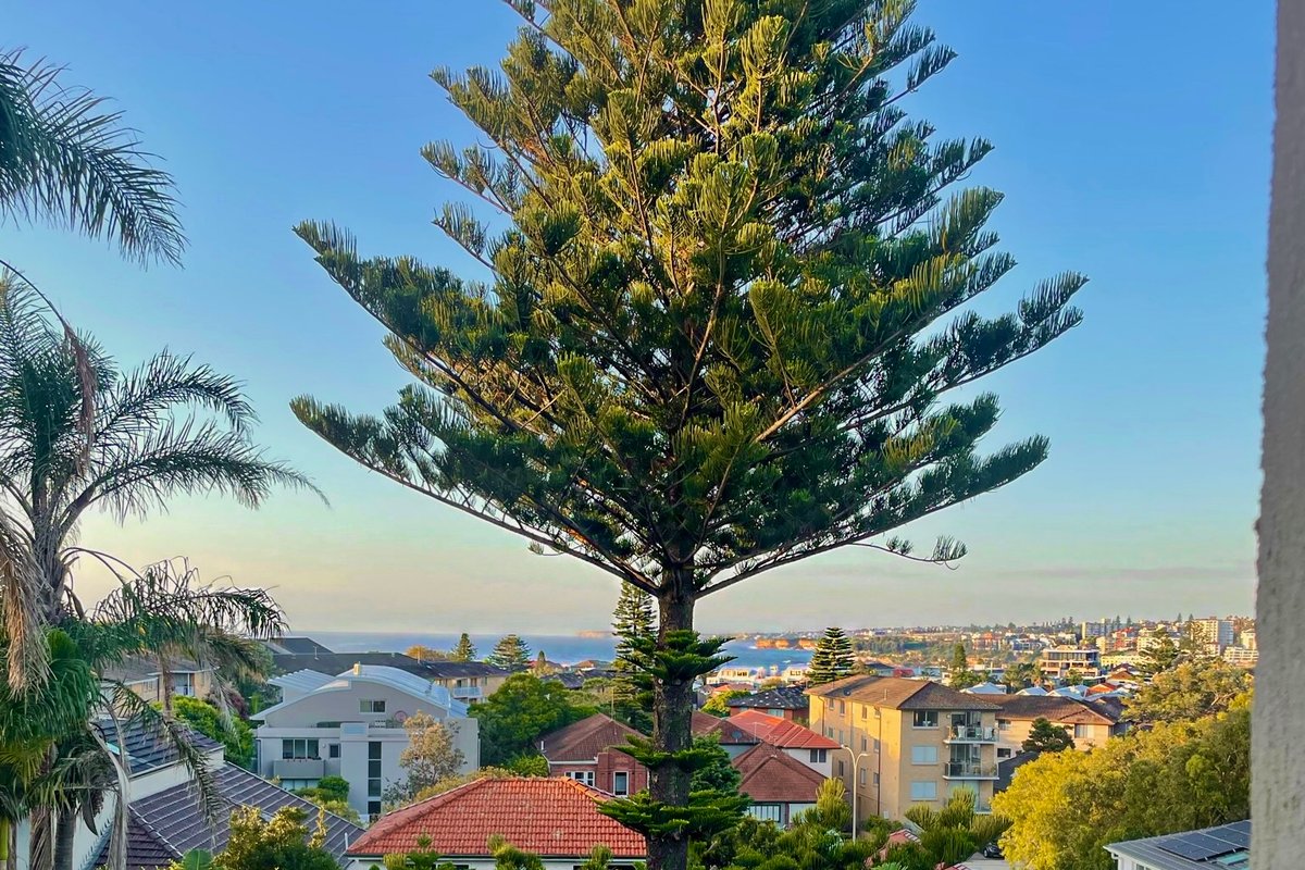 North Bondi family home, walk to the beach!