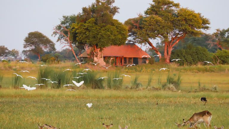 Kanana Family Tent