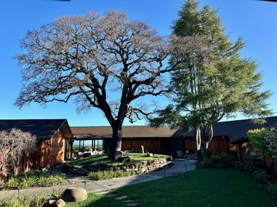 Best Views Mid-Century Gem 10m from Stanford