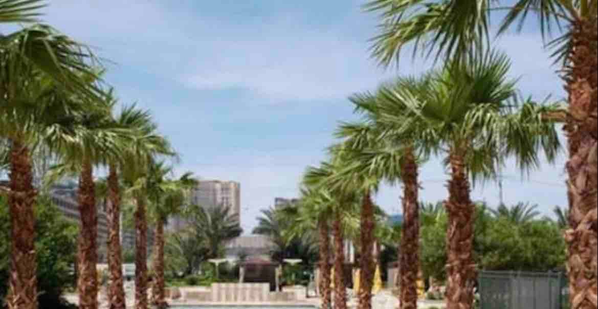 Lovely Villa Near the Stadium gallery image 2