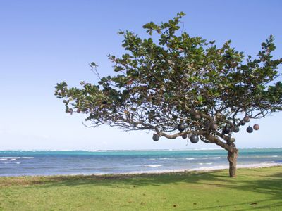 Brand New, Beach Front, Villa Aloha 30-day min