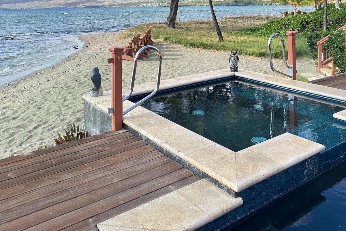 Puako Hylton gallery image 4